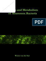 Growth and Metabolism of Anammox Bacteria