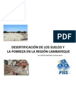 Desertificacion de Los Suelos y La Pobreza en La Región
