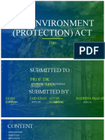 The Environment (Protection) Act