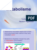 Metabolism e