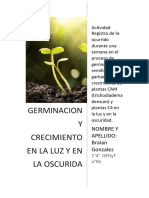 GERMINACION y Crecimiento EN LA LUZ Y EN LA OSCURIDA