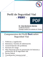 Perfil de Seguridad Vial - Peru