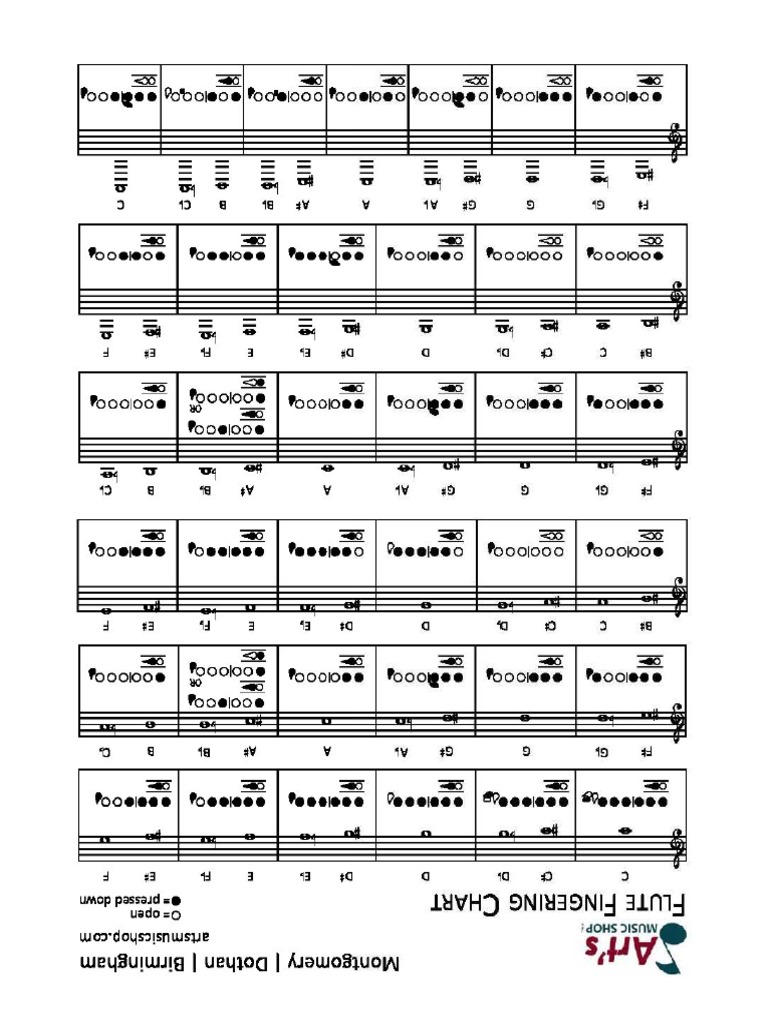 flute fingering | PDF