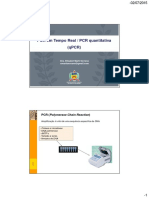 Real Time PCR - Auladef2