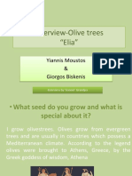 3 Top Greece Interview-Olive Trees