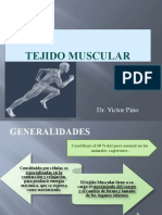 Clase Muscular I