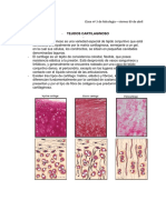 Histo Clase 3
