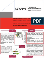 Mapa Conceptual