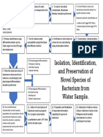 Isolation, Identification, and Preservation of Novel Species of Bacterium From Water Sample.