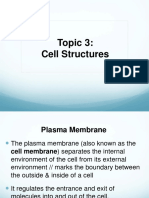 Chapter 3 (Cell Structures)