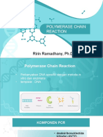 PCR Realtime