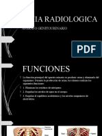 Anatomia Radiologica Urinario