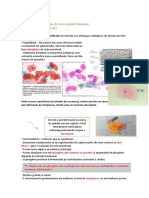 Citopatologia do trato genital feminino