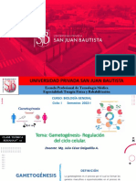 Clase S15 Regulacion - Ciclo Cellular