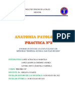 Informe de estudios anatomopatológicos