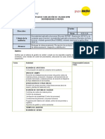 Plan de Auditoria BPM - Ifs GM - Fruver