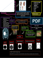 Hidatidiosis Mapa Mental