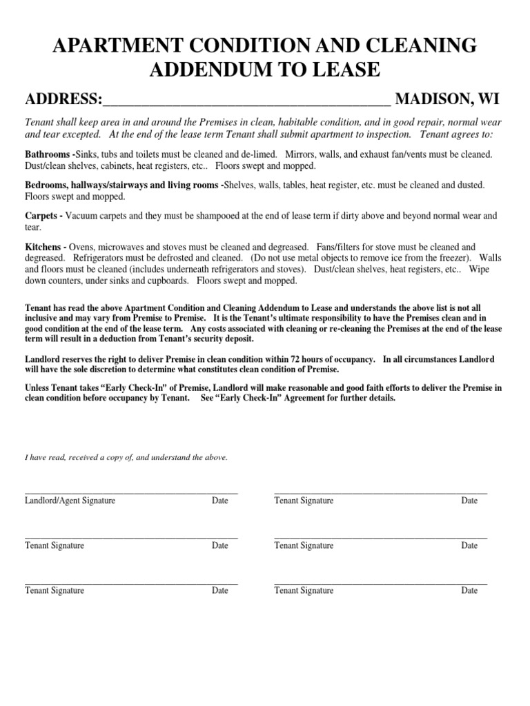 Image showcasing Big Abstract Art: How to Choose the Perfect Big Abstract Painting for