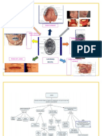 Boca y Lengua