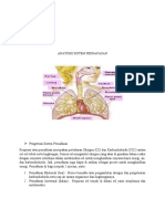 Anatomi Sistem Pernafasan