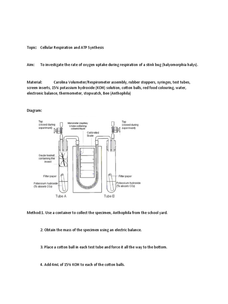 Lab Respirometer Experiment PDF Cellular Respiration Oxygen