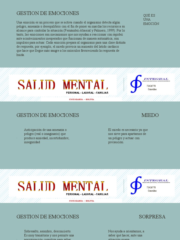 Gestión de Emociones y Habilidades Clave | PDF | Las emociones | Ira