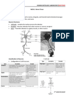 HISTO LAB - WEEK 2 Nerve Tissue