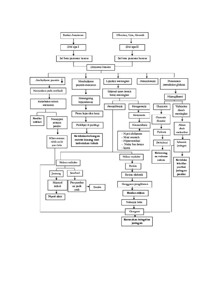 Pathway DM | PDF