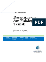 Modul Pertemuan Ke 12 Sistema Syaraf