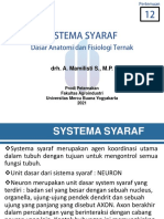 Slide Pertemuan Ke 12 Sistema Syaraf