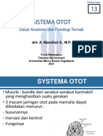 Slide Pertemuan Ke 13 Sistema Otot