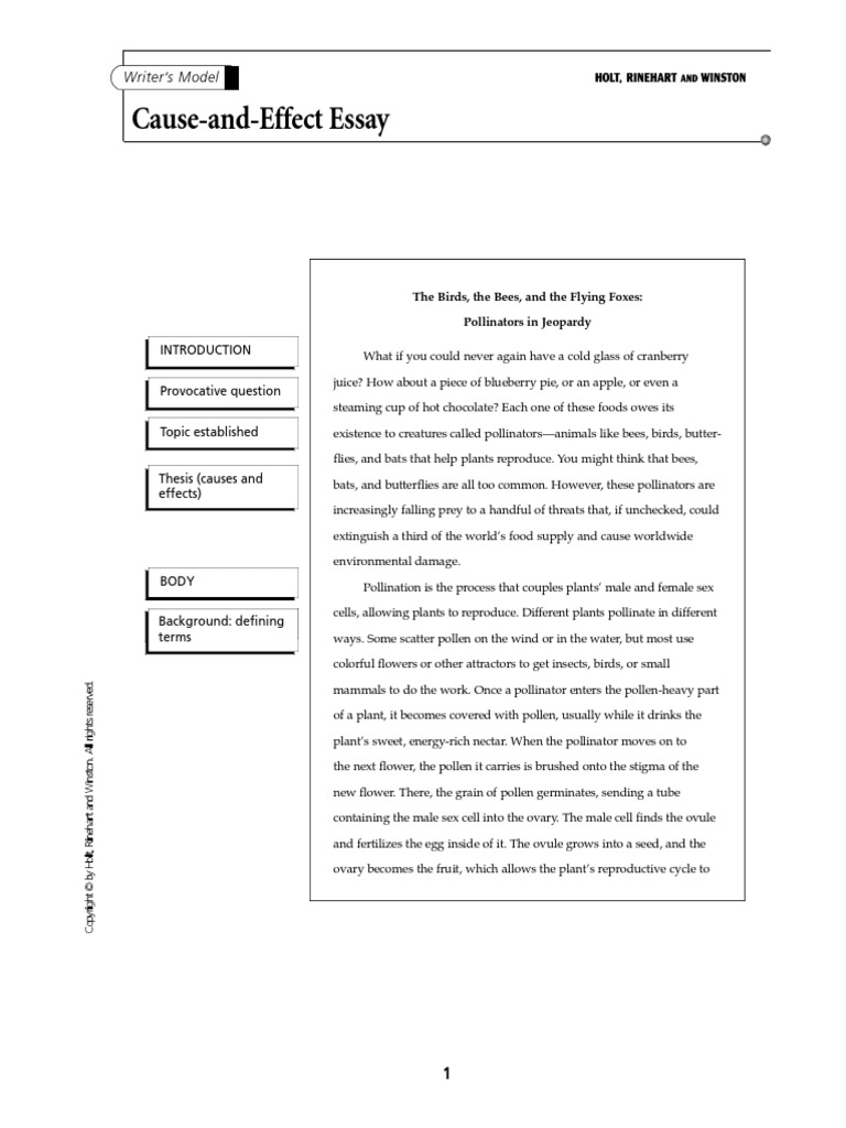 Cause And Effect Sample Essay Ielts
