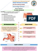 Seminario 13 - Ulceras Gastricas