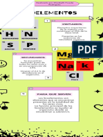 Infografía de Proceso Ventanas Interfaz Pixel Sencillo Verde Rosa