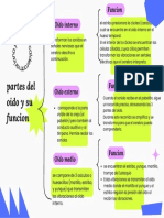 Partes Del Oido y Su Función