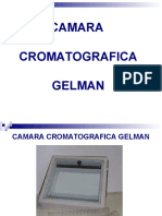 I Cromatografia Camara Gelman Ecol II