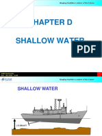 D-Shallow Water