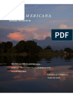 Revista Mesoamericana Artículos Guacamaya Roja (Ara Macao)
