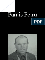 Pantis Petru