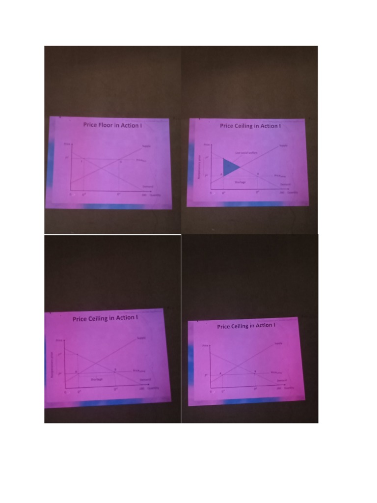 price-ceiling-and-price-floor-curves-pdf