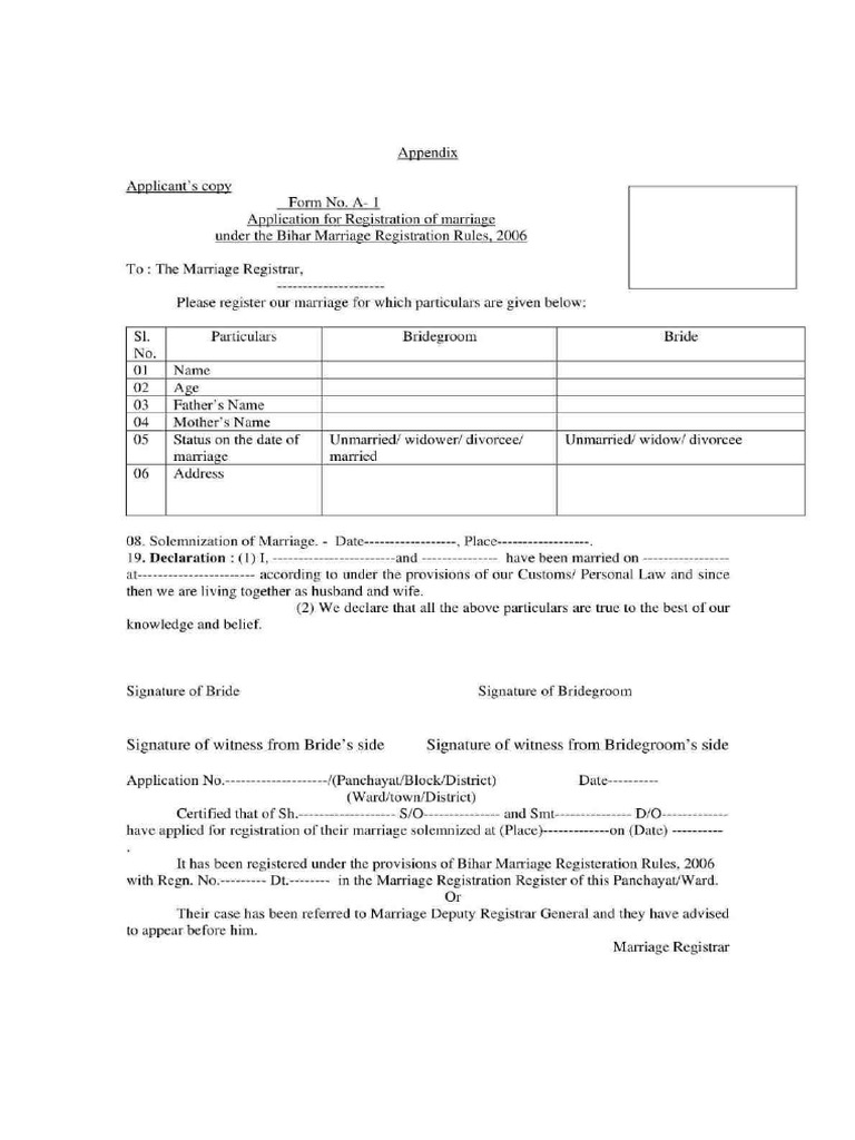 BIRTH REGISTRATION FORM PDF BIHAR visual data 4