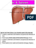 Liver and Spleen 