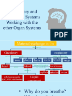 Chapter 1 - Respiratory and Circulatory Systems Working With The Other Organ Systems