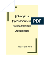 El Principio de Especializacion en La Justicia Penal para Adolescentes - Descargar
