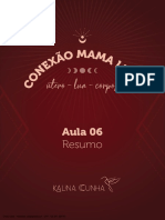 Conexão Mama Luna_Aula 06 Resumo