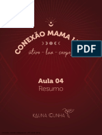 Conexão Mama Luna - Aula 04 Resumo