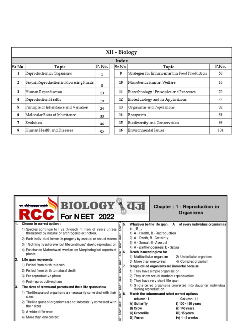 XII photo pic