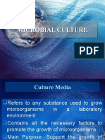 Microbial Culture 1