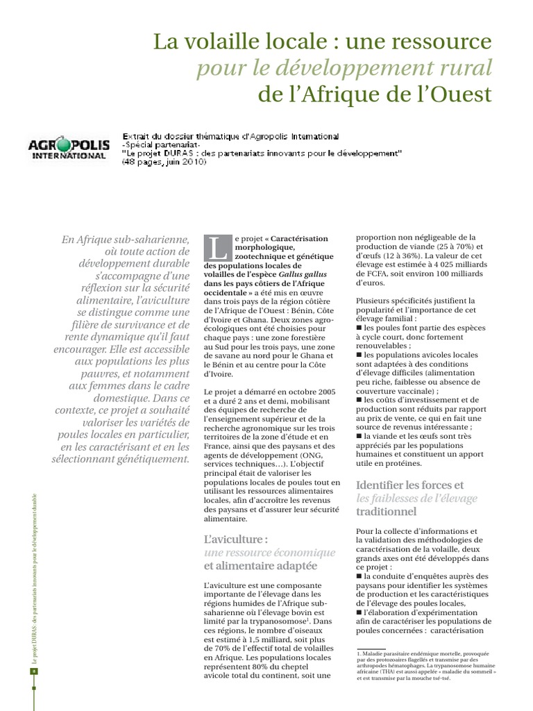 Projet Duras Volaille Locale Ressource Developpement Rural Afrique ...