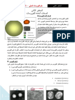 الصفات العامة للفيروسات